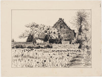 KT 1507
          <br/>
          Arbeiderswoning met tulpenbedden
          <br/>
          <em>Koster, Antonie Lodewijk (1859-1937)</em>